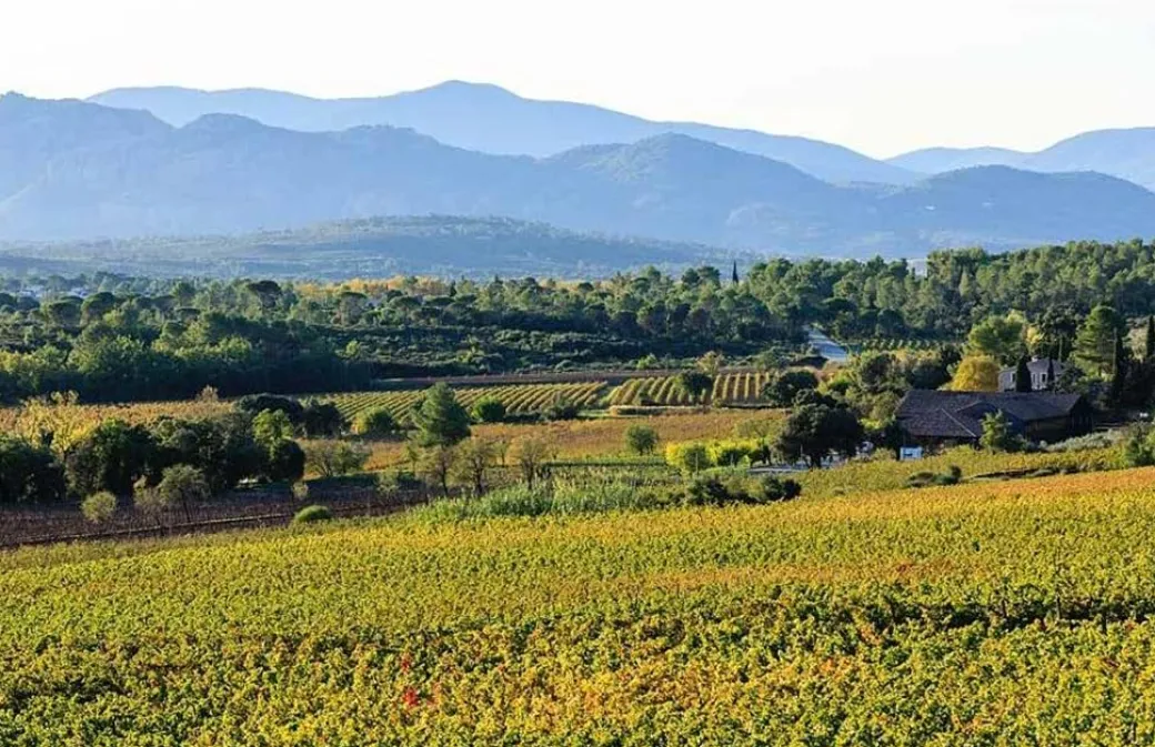 Adventures in Rose Wine in Provence