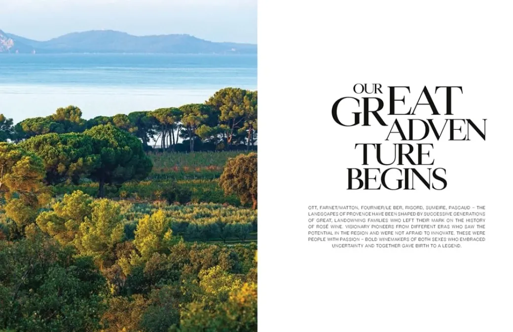 Adventures in Rose Wine in Provence