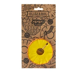 Ananas the Pineapple Bath Toy