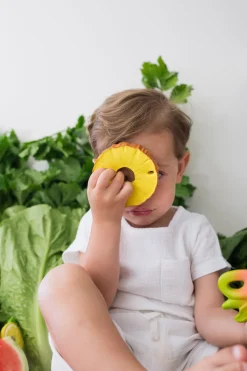 Ananas the Pineapple Bath Toy