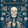 Anatomicum