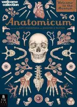 Anatomicum