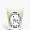 "Eucalyptus" Candle