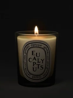 "Eucalyptus" Candle