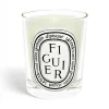 "Figuier" Candle
