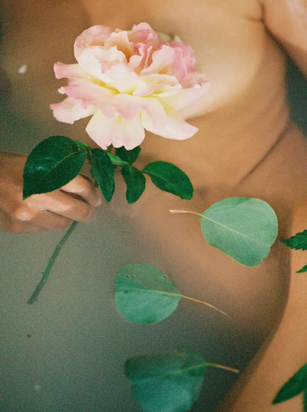 Garden Essentials Body Wash