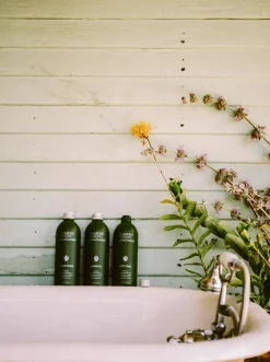 Garden Essentials Body Wash