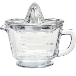 Glass Juicer