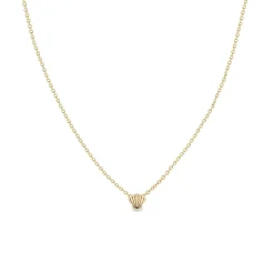 Itty Bitty Shell Necklace in Yellow Gold