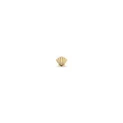 Itty Bitty Shell Stud in Yellow Gold