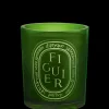 Large Green Scented Candle in Figuier