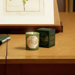 Museum Edition Scented Candle in Absinthe