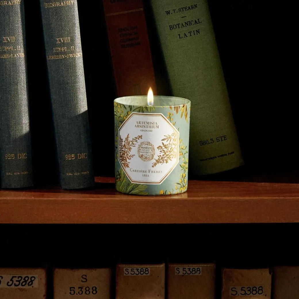Museum Edition Scented Candle in Absinthe