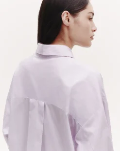 New Earl in White and Purple Pinstripe