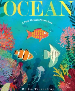 Ocean: A Peek-Through Picture Book