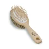 Pet Brush