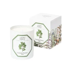 Scented Candle in Bay Laurel