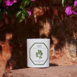 Scented Candle in Bay Laurel