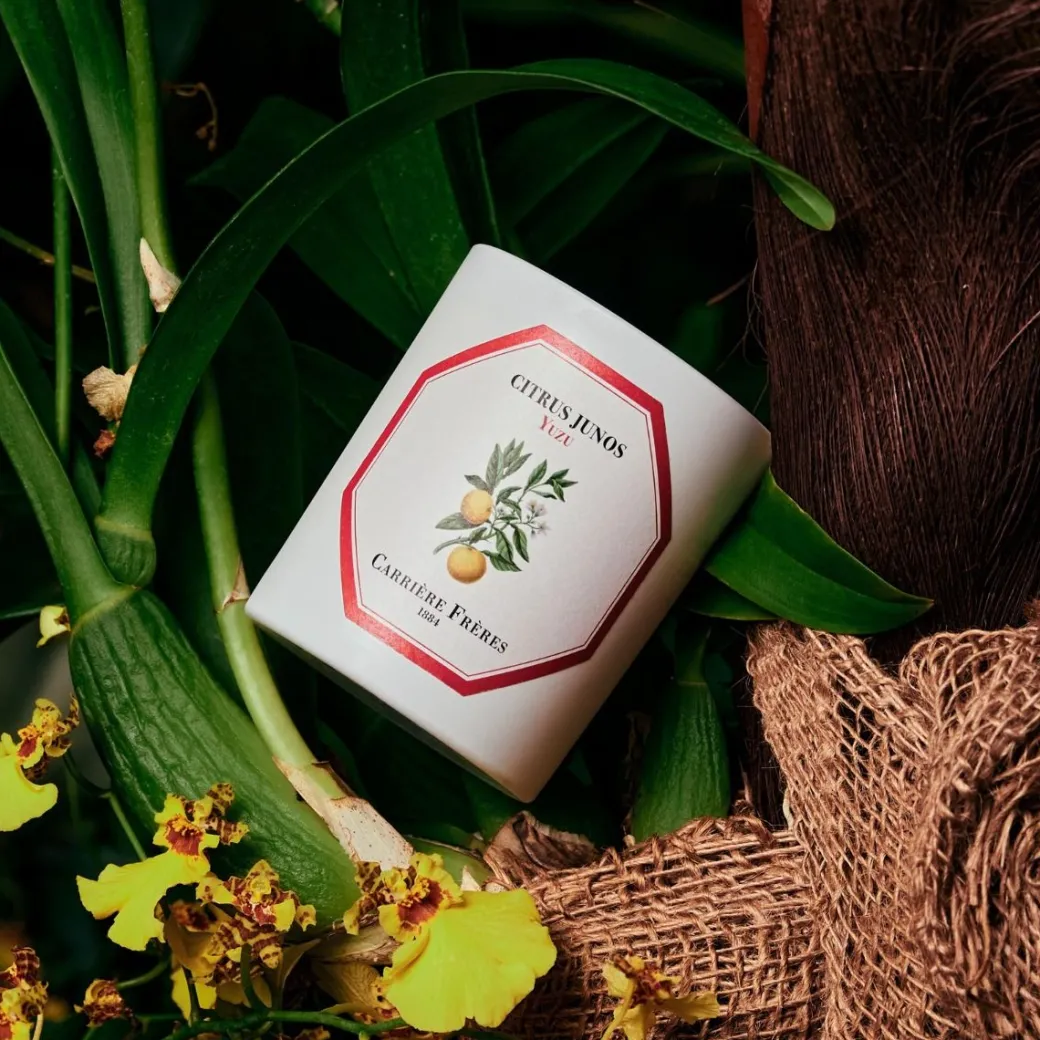 Scented Candle in Yuzu