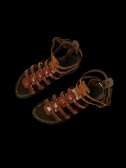 Taline Gladiator Sandal in Brown