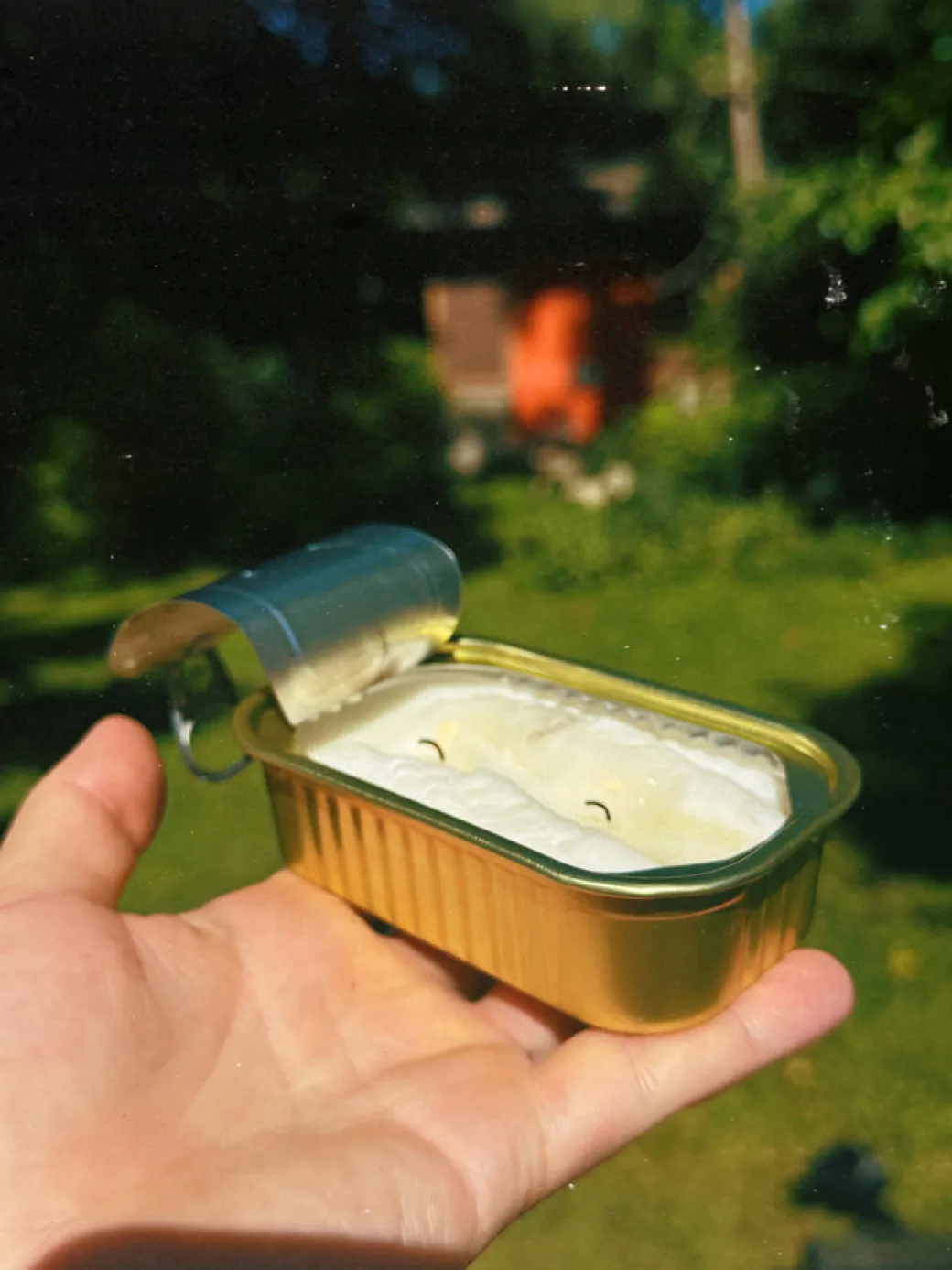 Tinned Fish Candle in Citronella