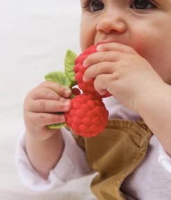 Valery the Raspberry Bath Toy