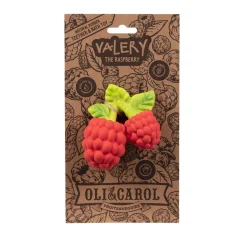 Valery the Raspberry Bath Toy